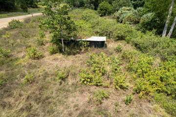 Old Neglected Shed Amongst The Bush