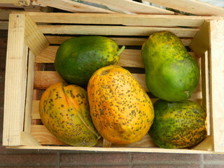 Papaya tropical fruit