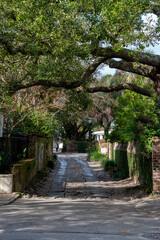 Longitude Lane located in Charleston, South Carolina is an alley that offers a glimpse into some of...
