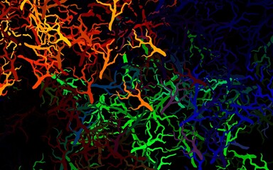 Dark Multicolor vector natural backdrop with leaves, branches.