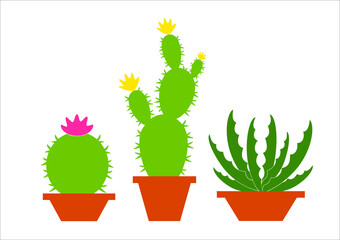 Set of cactuses isolated on white background, set of green cactuses with pink flowers, set of cactus flowers, cute succulents silhouettes
