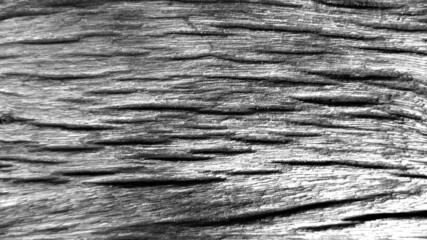 Obraz premium Old black wood grain graphics for background.