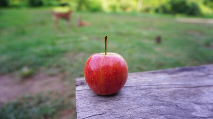 red apples on the wooden floor It is a fruit that many people like