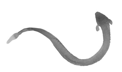 筆で描いた鰻のシルエットのイラスト
