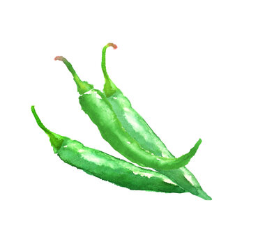 青唐辛子images Browse 666 Stock Photos Vectors And Video Adobe Stock