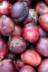 Close up of Coffee beans that are being dried