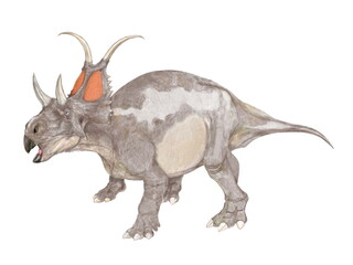 恐竜　ディアブロケラトプス　白亜紀後期の地層から発見されたかなり原始的なセントロサウルスの仲間であるとされる。フリルの上部の特徴的な角やカスモサウルスのような目の上の角をもつ雰囲気から「悪魔のケラトプス」という学名を持つ。頭部は前後に短く、ずんぐりした印象がある。体長は5メートルほどの中型種。