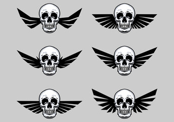 Set of skull with wings collection