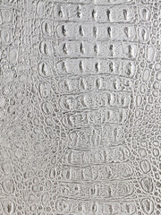 A Crocodile Texture Leather, Dark Brown Background