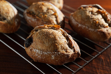 チョコレートと胡桃のライ麦全粒粉ハードパン