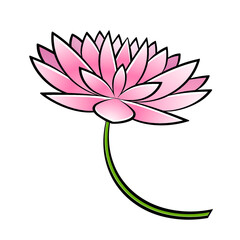 lotus flower vector illustration