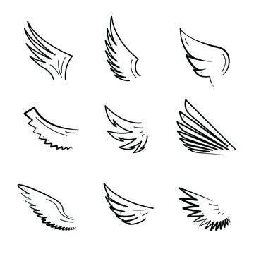 Set Abstract Collection Hand Drawn Wings Flight Feathered Doodle Concept Vector Design Outline Style On White Background Isolated Bird Wildlife