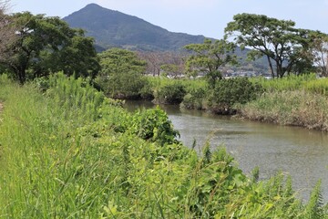 Landscape of mountains and fields with flowing rivers
