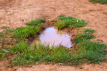puddle in dirt after rain