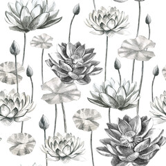 Lotuses pattern flowers and lotus leaves in pencil. Water lily. Pencil drawing of leaf stems and water lily buds.