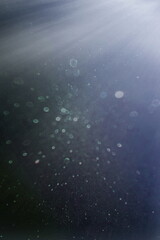lights effects isolated on backgrounds
