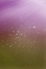 lights effects isolated on backgrounds