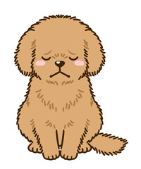 落ち込むトイプードル（茶）