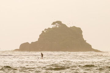 surfer in the sea