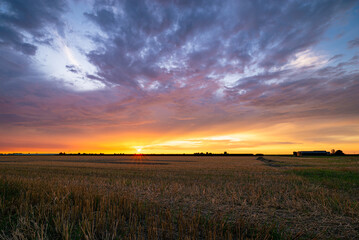 Obraz na płótnie Canvas Setting sun and colorful sky over a field of wheat stubble