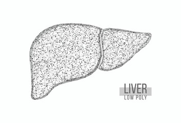 Human liver. Wireframe low poly style. Concept for medical, treatment of the hepatitis.  Isolated on white background. Vector illustration.