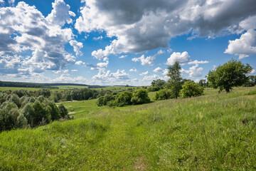Rural landscape with a road in the meadow leading to the distance, bright sun and white clouds. Green trees and bushes all around.