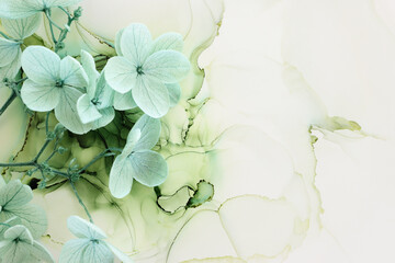 Creative image of pastel mint green Hydrangea flowers on artistic ink background. Top view with...