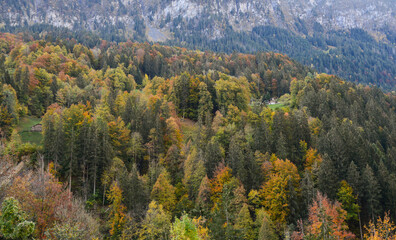 Mountain scenery in autumn