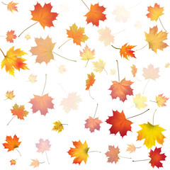 Red, orange, brown and yellow autumn leaves. Vector