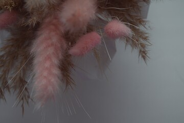 dried flowers decoration