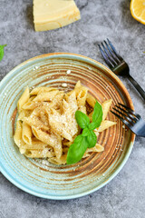 Home made fresh  italian  penne pasta    cacio e pepe. Pasta with Parmesan cheese and black peper