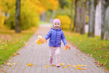 Happy little girl running on sidewalk at city park. Child hands holding yellow orange maple leaves...