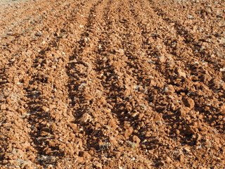 plowed field after harvest