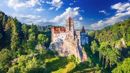 Foto op Aluminium Bran Castle, Transylvania - Most famous destination of Romania. © ecstk22