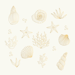 Set of golden shells, starfish, algae, coral. Vector isolated illustration.