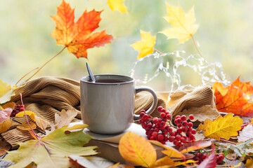 Autumn still life with a beautiful bokeh. Autumn leaves and a cup of hot steaming coffee or tea, pumpkins and an autumn harvest. Seasonal, morning coffee, Sunday rest and the concept of still life