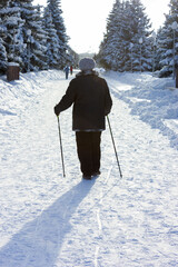 Senior at the snow in winter nordic walking