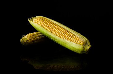 Fresh raw corn (maize) on a black background.