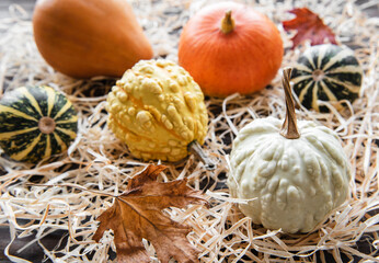 Autumn composition,  cozy fall season,  pumpkins and leaves