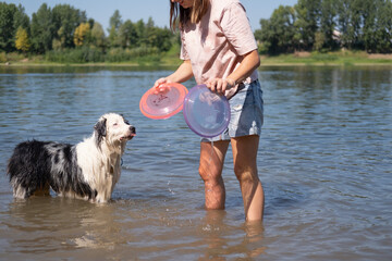 australian shepherd dog play with two flying saucer with woman outdoor. 