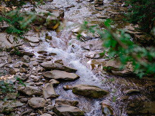 Forest river with stones