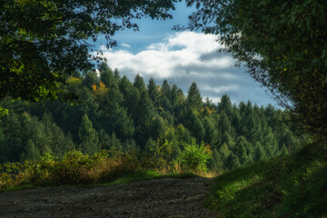 Fototapeta na wymiar Trail in the Beskidy Mountains in early autumn