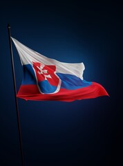 Abstract Slovakia Flag 3D Render (3D Artwork)