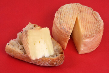 Fromage de brebis Corse avec un morceau de pain en gros plan sur fond rouge