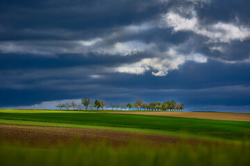 Fototapeta premium unterfränkische Agrarlandschaft mit starken Wolken