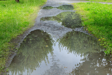 さきたま古墳公園の水溜り