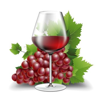 3d realistic vector illustration. Wine glass. Red wine. Grapes. Isolated on white.