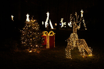 Obraz na płótnie Canvas The sparkling Christmas market, winter night view. Tree, Santa, Snow sledding, Frozen.