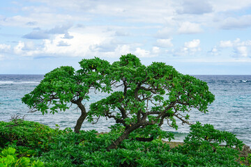 沖縄 伊計島最北端の海辺（沖縄県うるま市）
