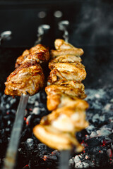 shish kebab on the grill